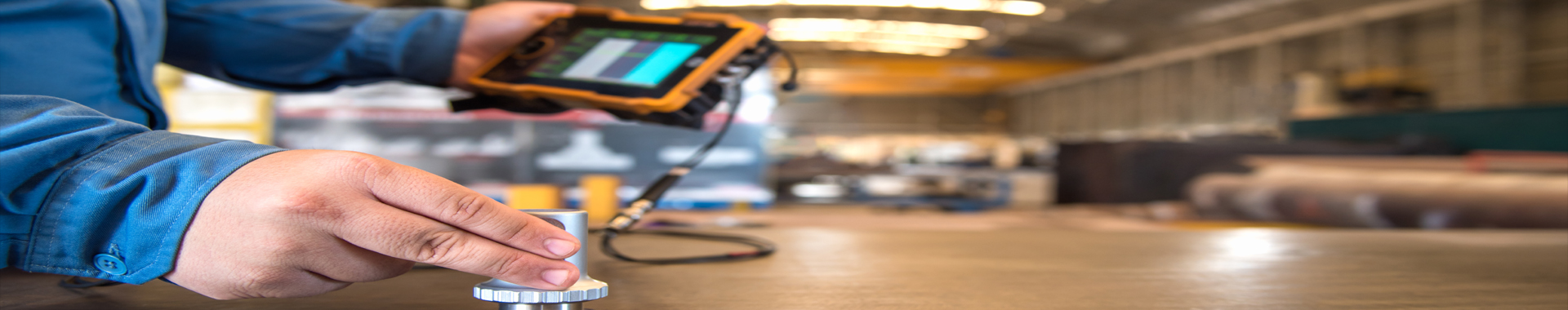 ���Y�t����